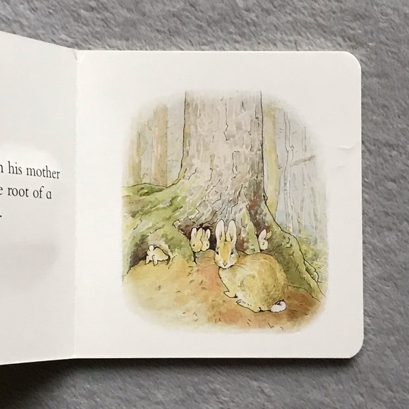 Beatrix Potter Peter Rabbit Soft Touch & Feel Board Book - Picture 2 of 5